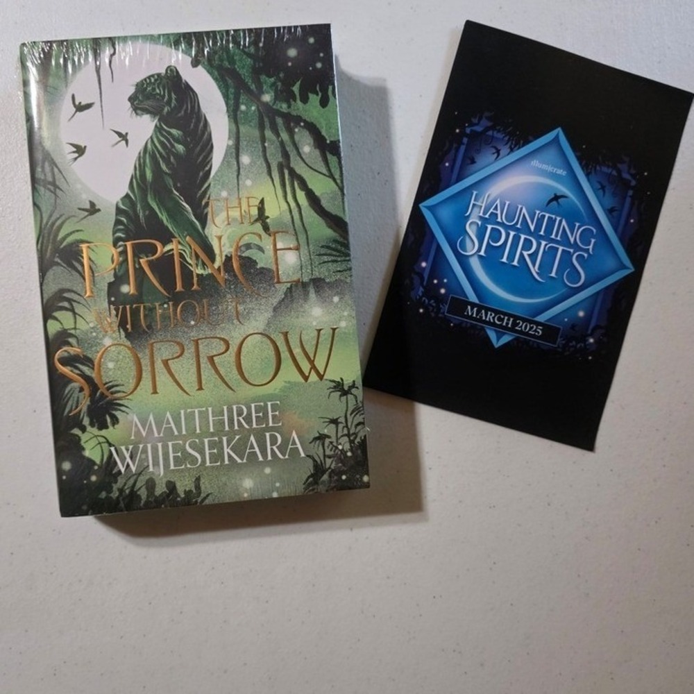 Illumicrate The Prince Without Sorrow Hardcover New March 2025 Haunting Spirits